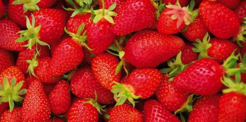 FETE DE LA FRAISE 4/5 JUIN FRAISES