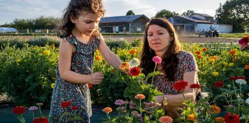 1 bouquet de fleurs offert fleurs