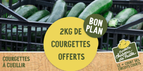 offre courgette
