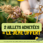 Chapeau de Paille