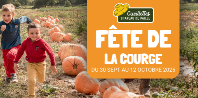 Panier courges