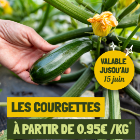Chapeau de Paille