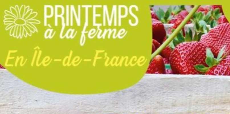Printemps à la ferme