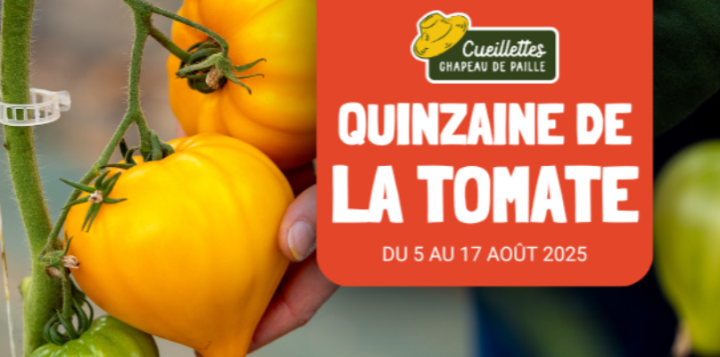 Quinzaine de la tomate Tomates